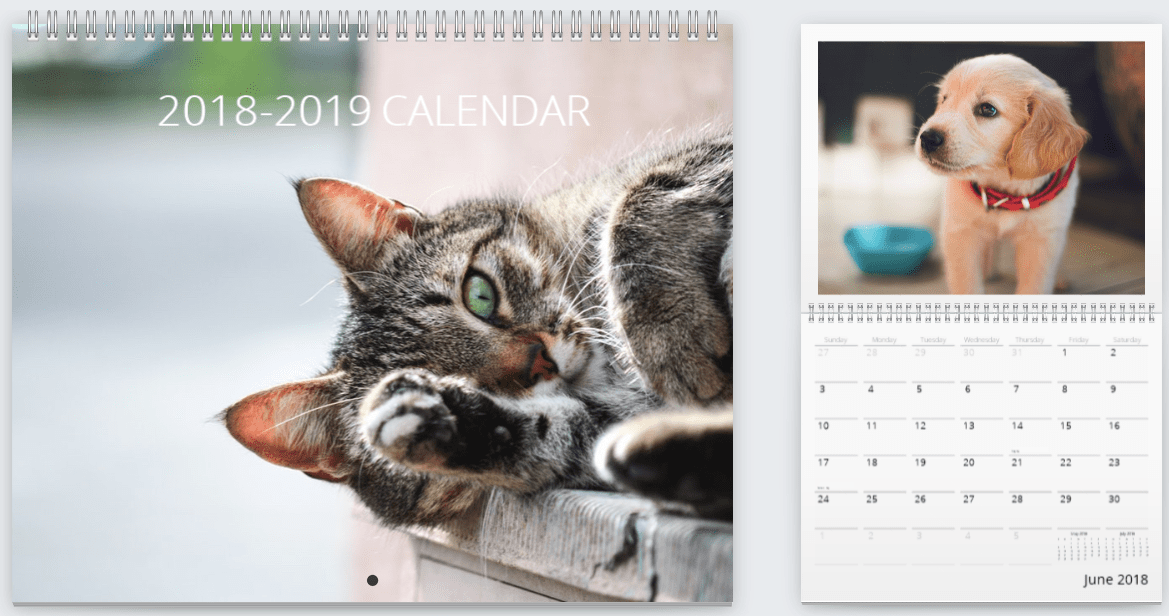 Pet Calendar 